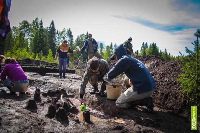 Археологи нашли в Прикамье могильник с захоронениями V века