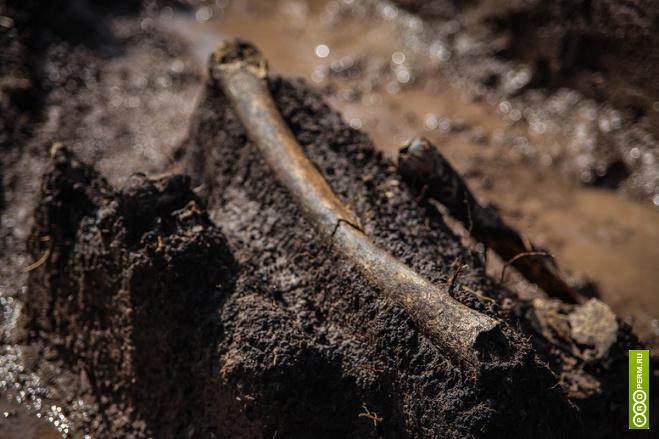 Археологи нашли в Прикамье могильник с захоронениями V века