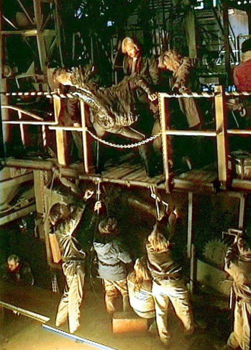 Фотографии со съемок Терминаторов