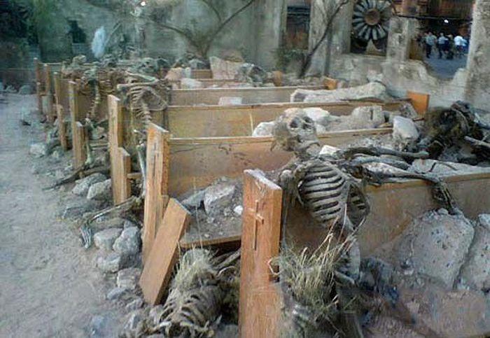 Фотографии со съемок Терминаторов