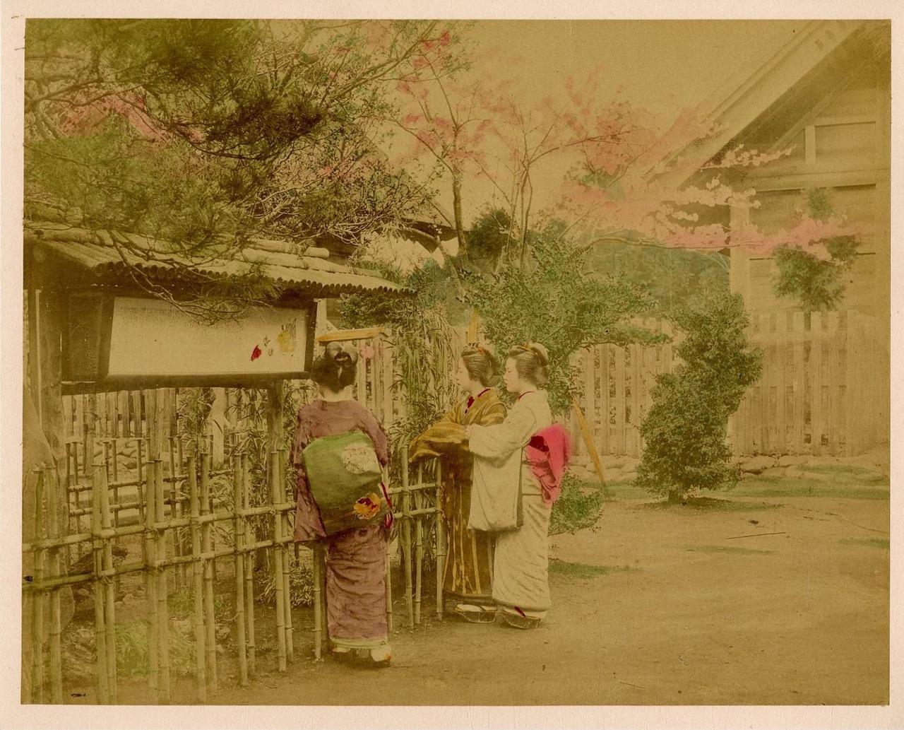 Япония в цвете () Япония в цвете