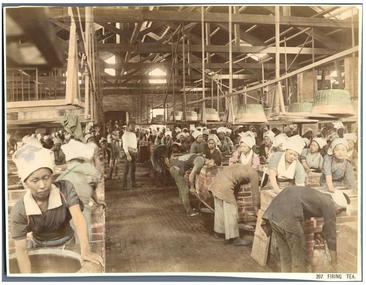 Япония в цвете () Япония в цвете