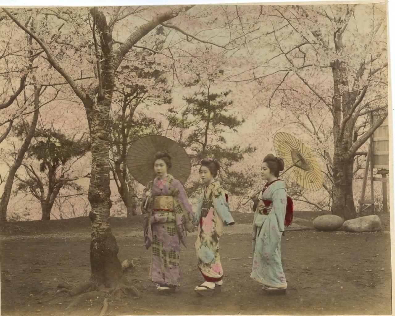 Япония в цвете () Япония в цвете