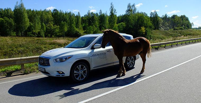Место силы: Рдейское болото