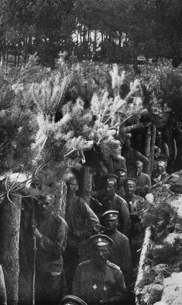 Поражение австро-венгерских армий в Городокском сражении