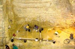 Ученые назвали точное время вымирания неандертальцев