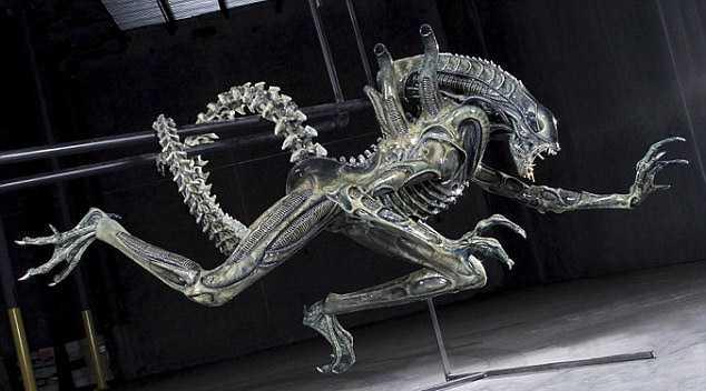 В одном из жилых домов были обнаружены останки «чужого» () В одном из жилых домов были обнаружены останки «чужого»