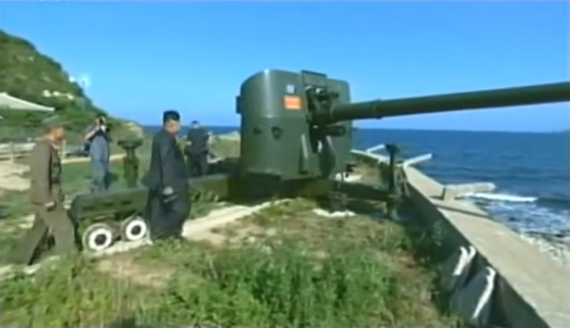 Артиллерия Корейской народной армии. Часть 1. Буксируемые системы и миномёты