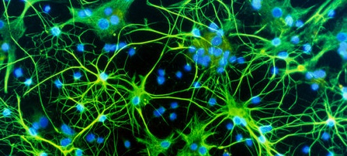 Детство человечества (часть 1)