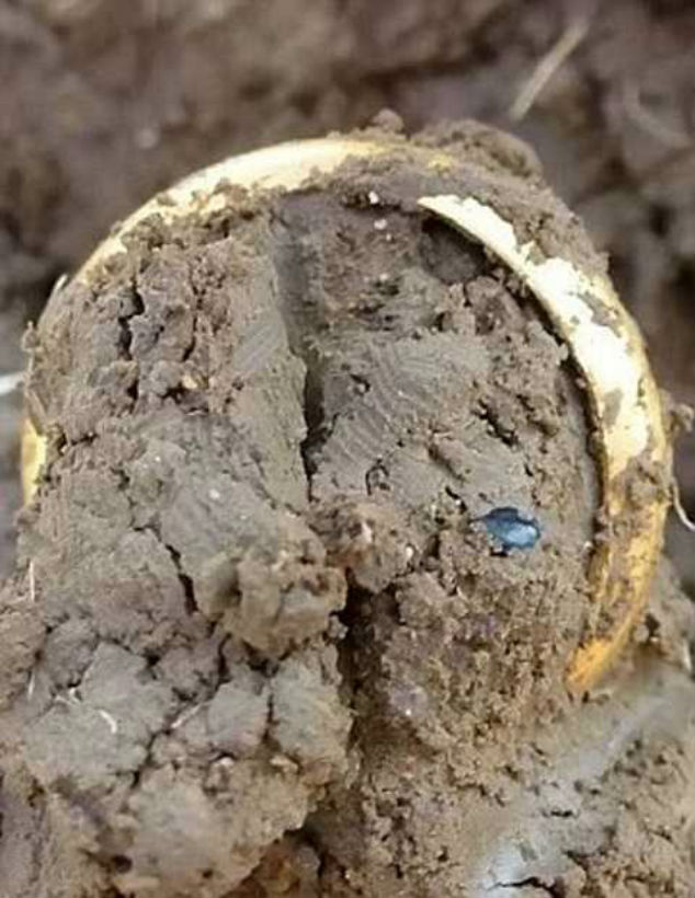 Кладоискатель обнаружил Кольцо Всевластия + Фото () Кладоискатель обнаружил Кольцо Всевластия + Фото