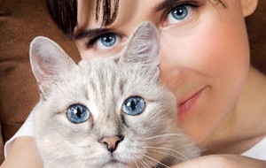 Любители кошек умнее… () Любители кошек умнее…