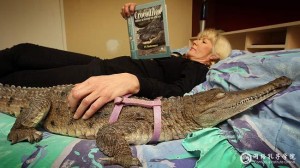 Любители кошек умнее… () Любители кошек умнее…