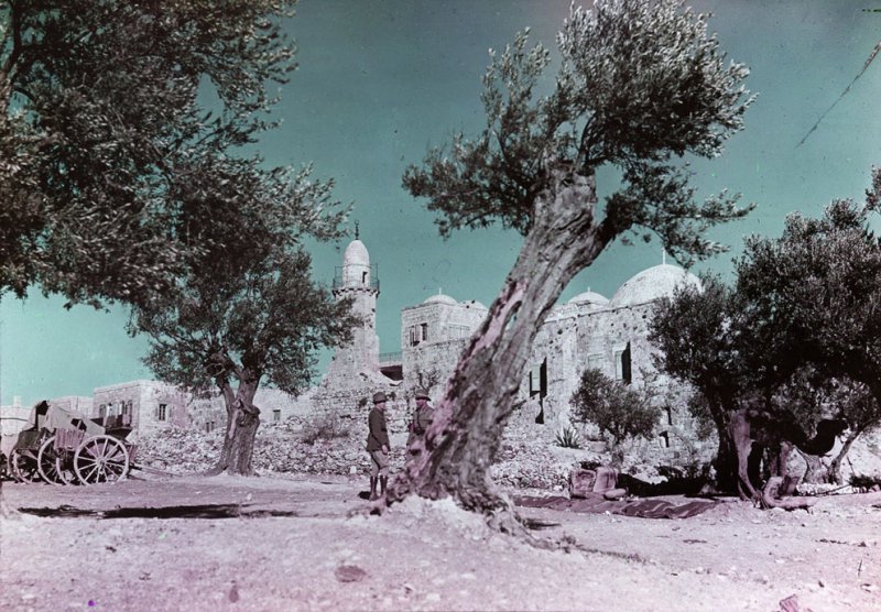 Первая мировая война в фотографиях () Первая мировая война в фотографиях