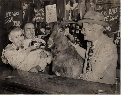 Пьянство в США () Пьянство в США