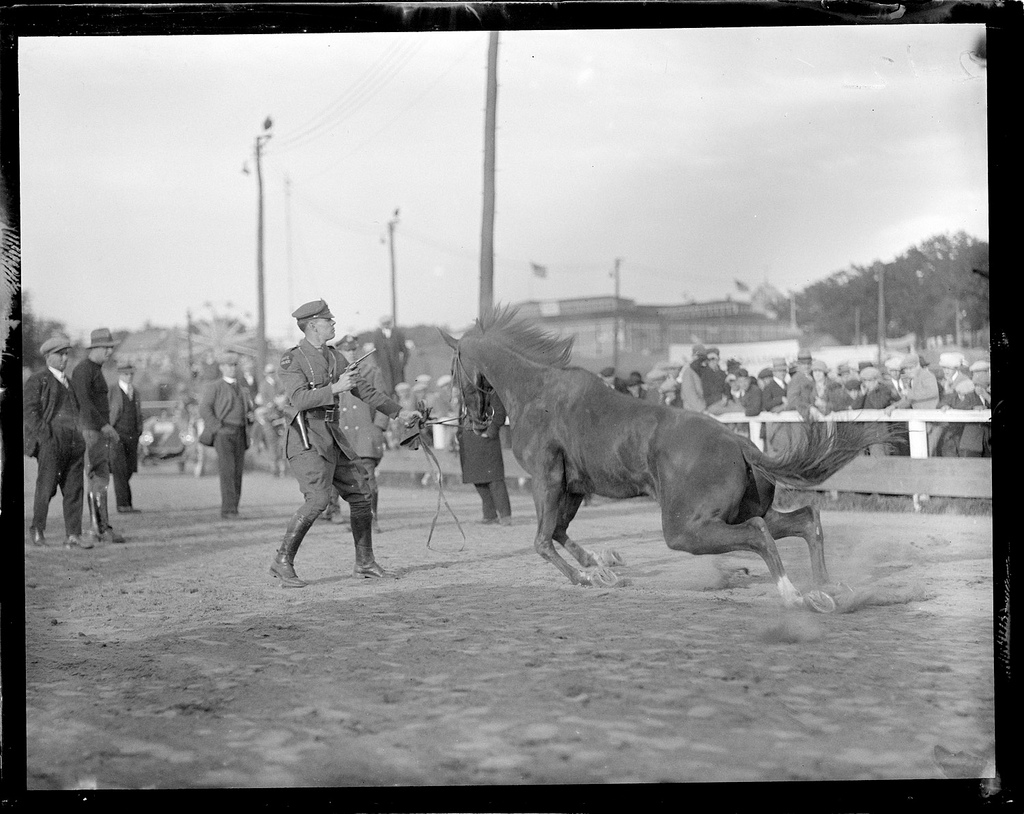Славные 1930-е в фотографиях из архива бостонской полиции () Славные 1930-е в фотографиях из архива бостонской полиции
