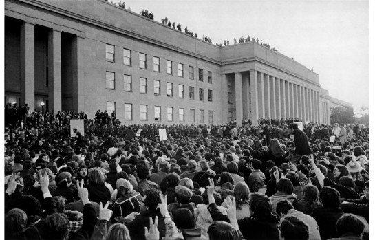 Власть цветов () Власть цветов