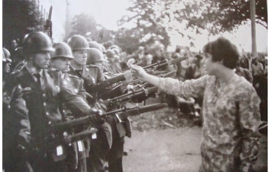 Власть цветов () Власть цветов