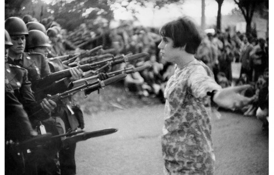 Власть цветов () Власть цветов