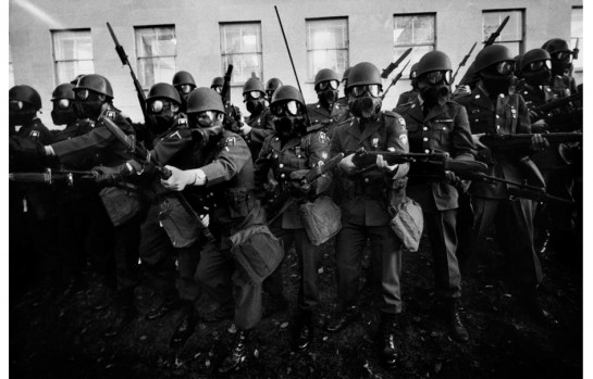 Власть цветов () Власть цветов