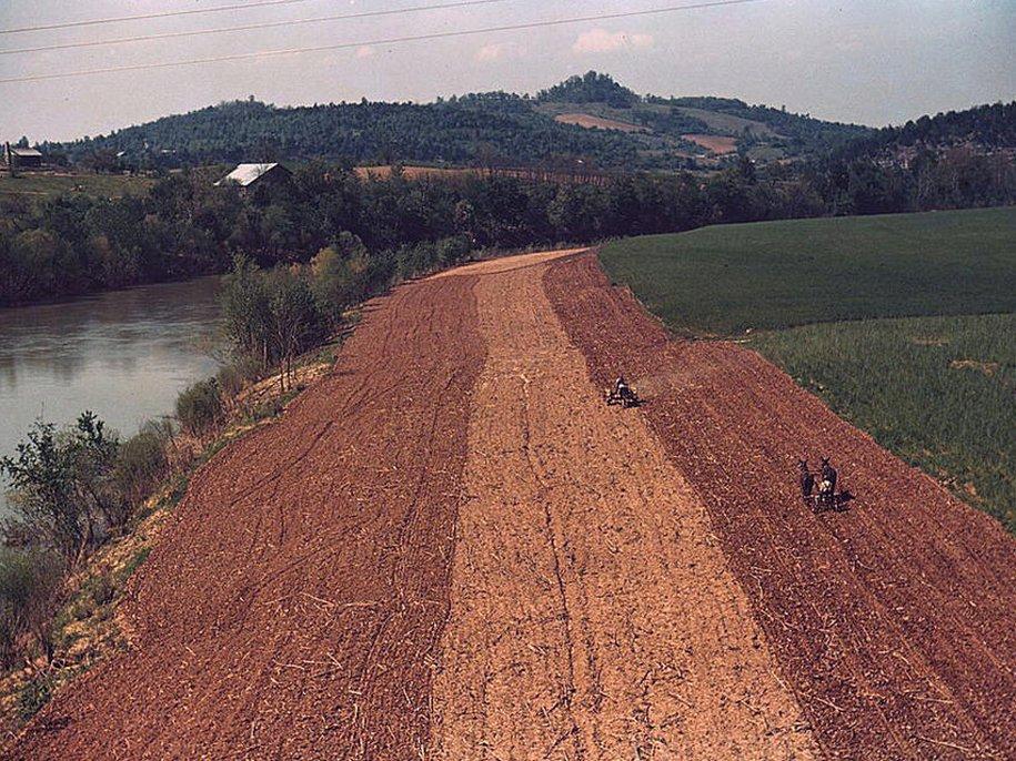 Америка во время первого экономического кризиса