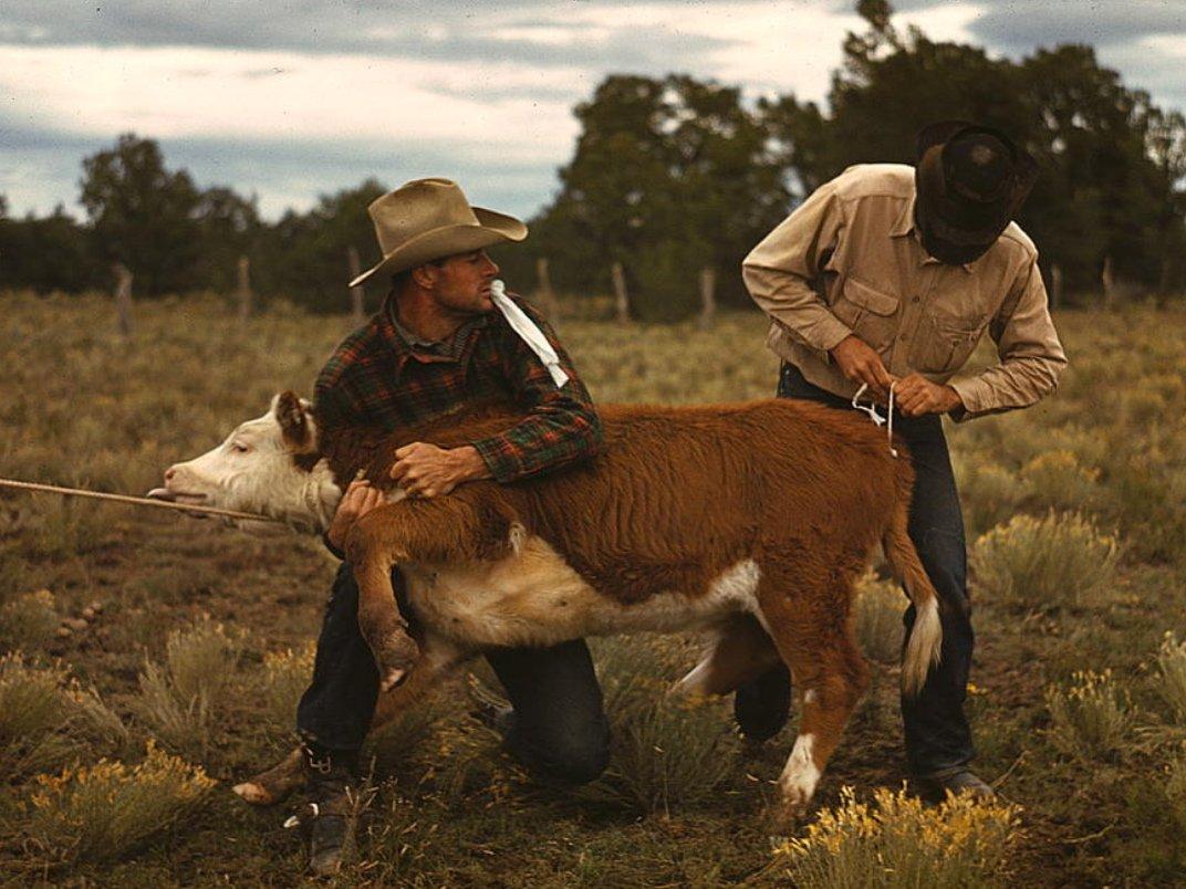 Америка во время первого экономического кризиса