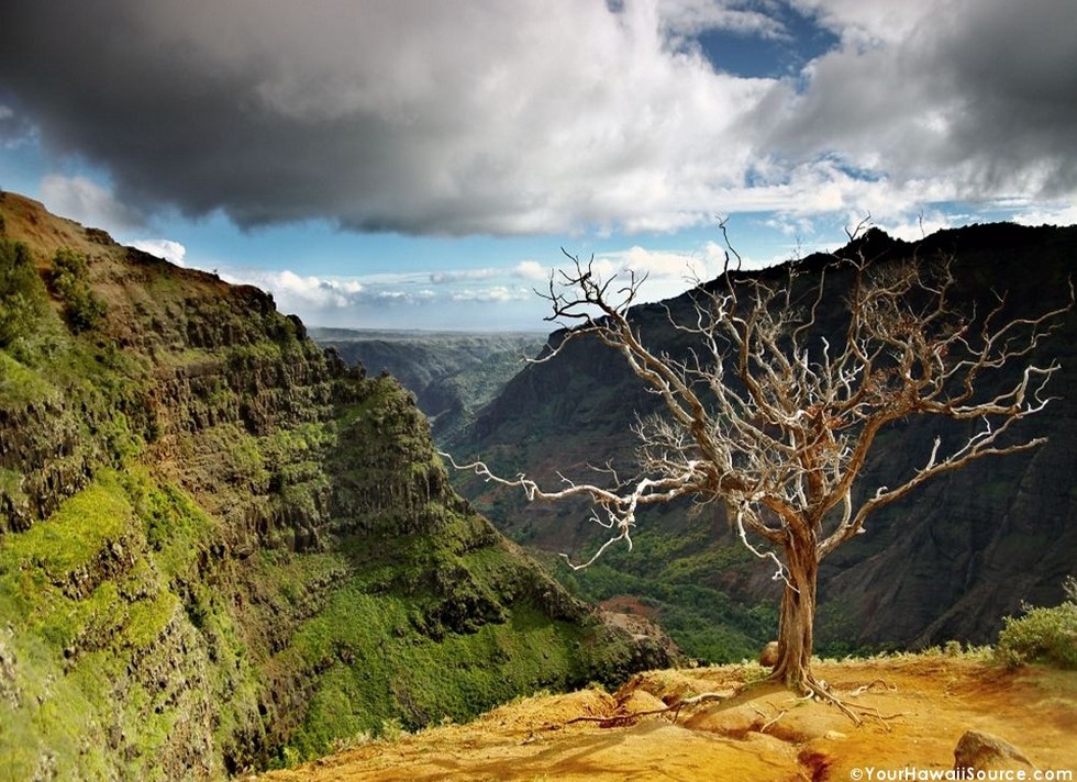 Каньон Ваймеа: прекрасное место для отдыха, подаренное природой (США) Каньон Ваймеа: прекрасное место для отдыха, подаренное природой (США)