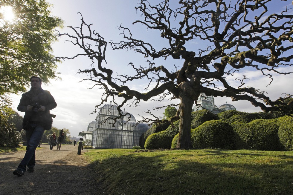 Лакенский дворец в Брюсселе (Бельгия) () Лакенский дворец в Брюсселе (Бельгия)