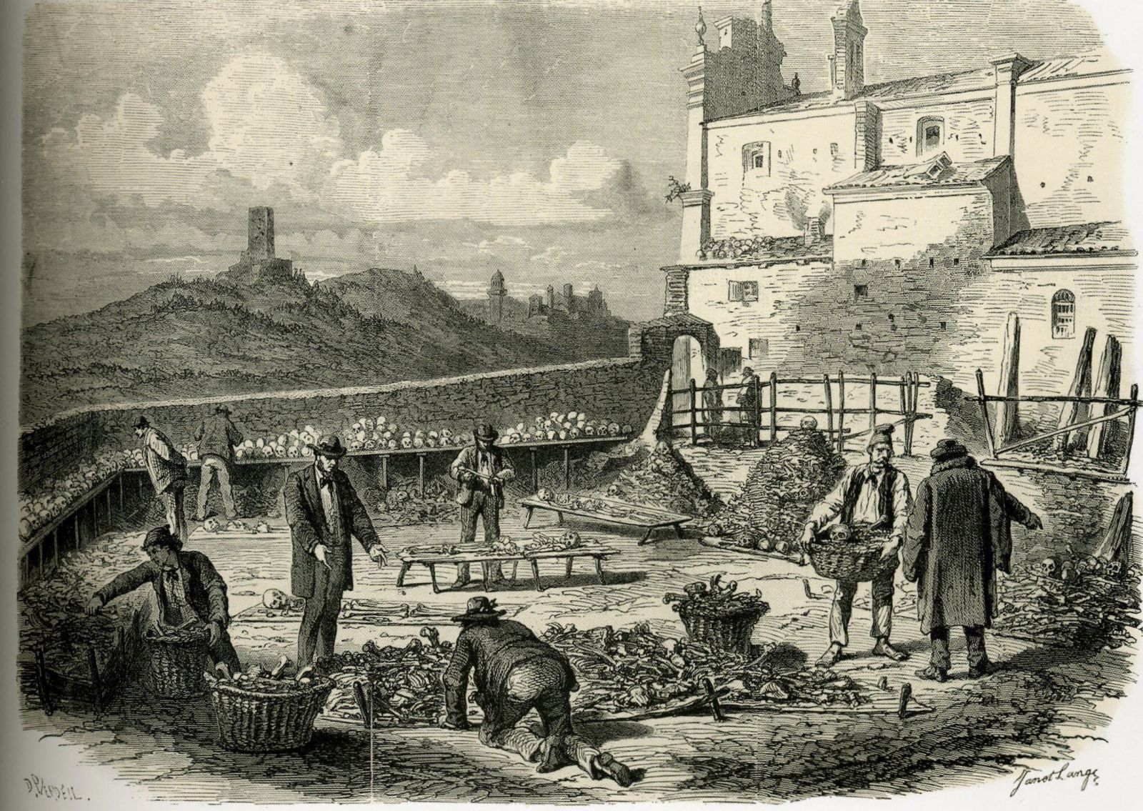 МЕРТВАЯ ГОЛОВА () МЕРТВАЯ ГОЛОВА