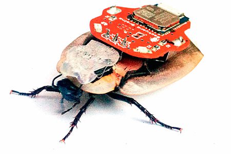 На обочине нечеловеческого прогресса