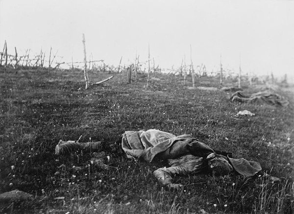 «Осиное гнездо» русских героев