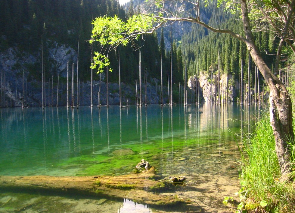 Озеро Каинды: одно из природных чудес Казахстана 