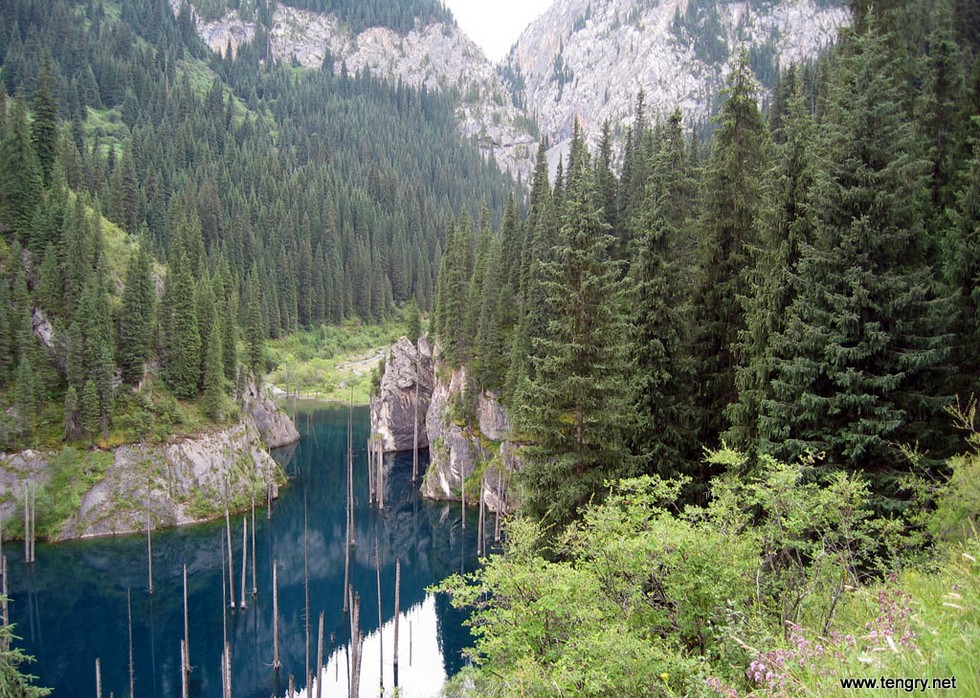 Озеро Каинды: одно из природных чудес Казахстана 