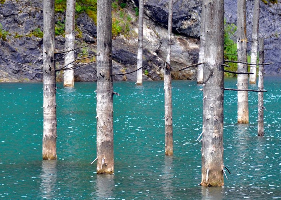 Озеро Каинды: одно из природных чудес Казахстана 