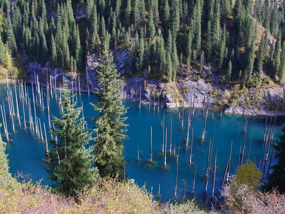 Озеро Каинды: одно из природных чудес Казахстана 