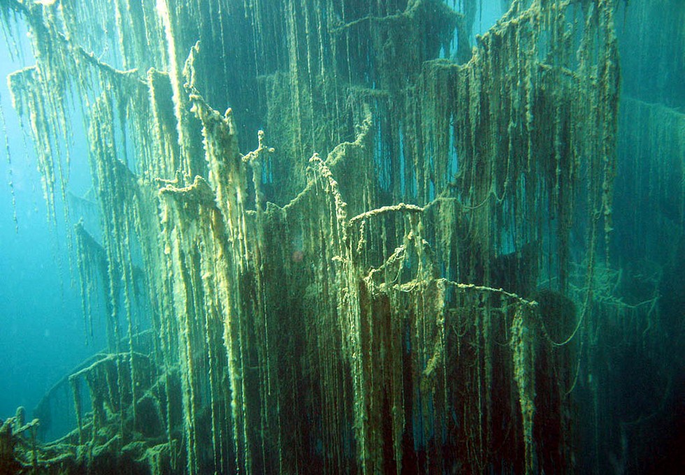 Озеро Каинды: одно из природных чудес Казахстана 