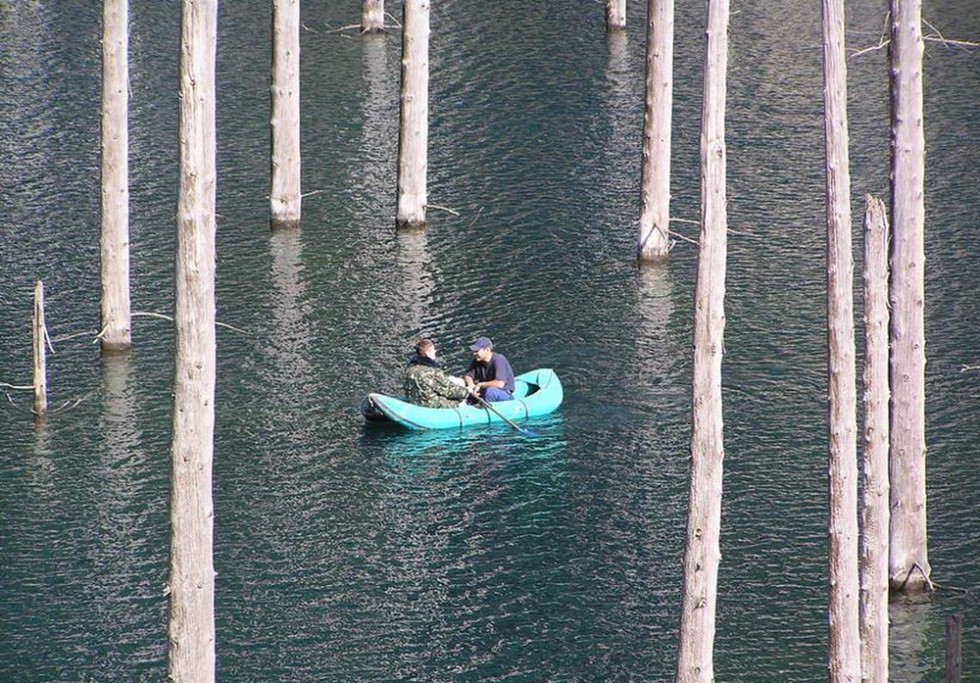 Озеро Каинды: одно из природных чудес Казахстана 