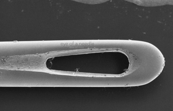 Самые маленькие скульптуры в мире () Самые маленькие скульптуры в мире