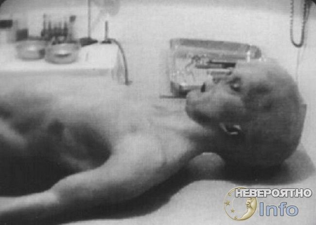 Теория мирового заговора () Теория мирового заговора