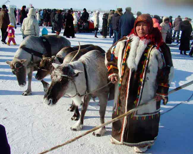 Традиции приготовления пищи у восточных хантов () Традиции приготовления пищи у восточных хантов