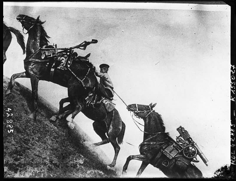 Усы, лапы и хвост — их оружие () Усы, лапы и хвост — их оружие