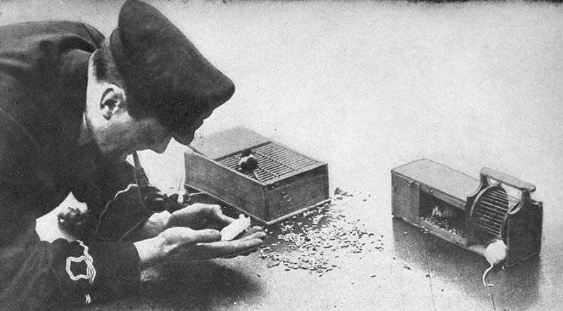 Усы, лапы и хвост — их оружие () Усы, лапы и хвост — их оружие