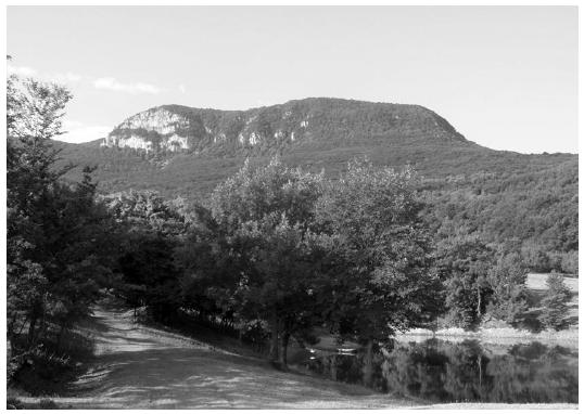 Варварский мир между Тевтобургом и Адрианополем в эпоху переселения народов () Варварский мир между Тевтобургом и Адрианополем в эпоху переселения народов