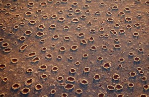 Загадка пустыни Намиб () Загадка пустыни Намиб