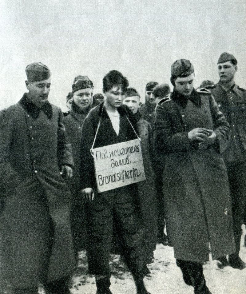 Зоя Космодемьянская: Вся правда и ложь () Зоя Космодемьянская: Вся правда и ложь