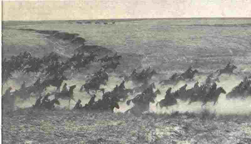 Атака полка «Савойя Кавалерия» () Атака полка «Савойя Кавалерия»