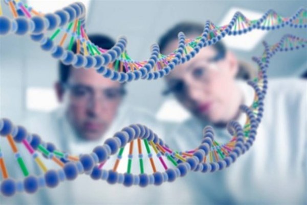 Более 100 Интересных фактов о человеке