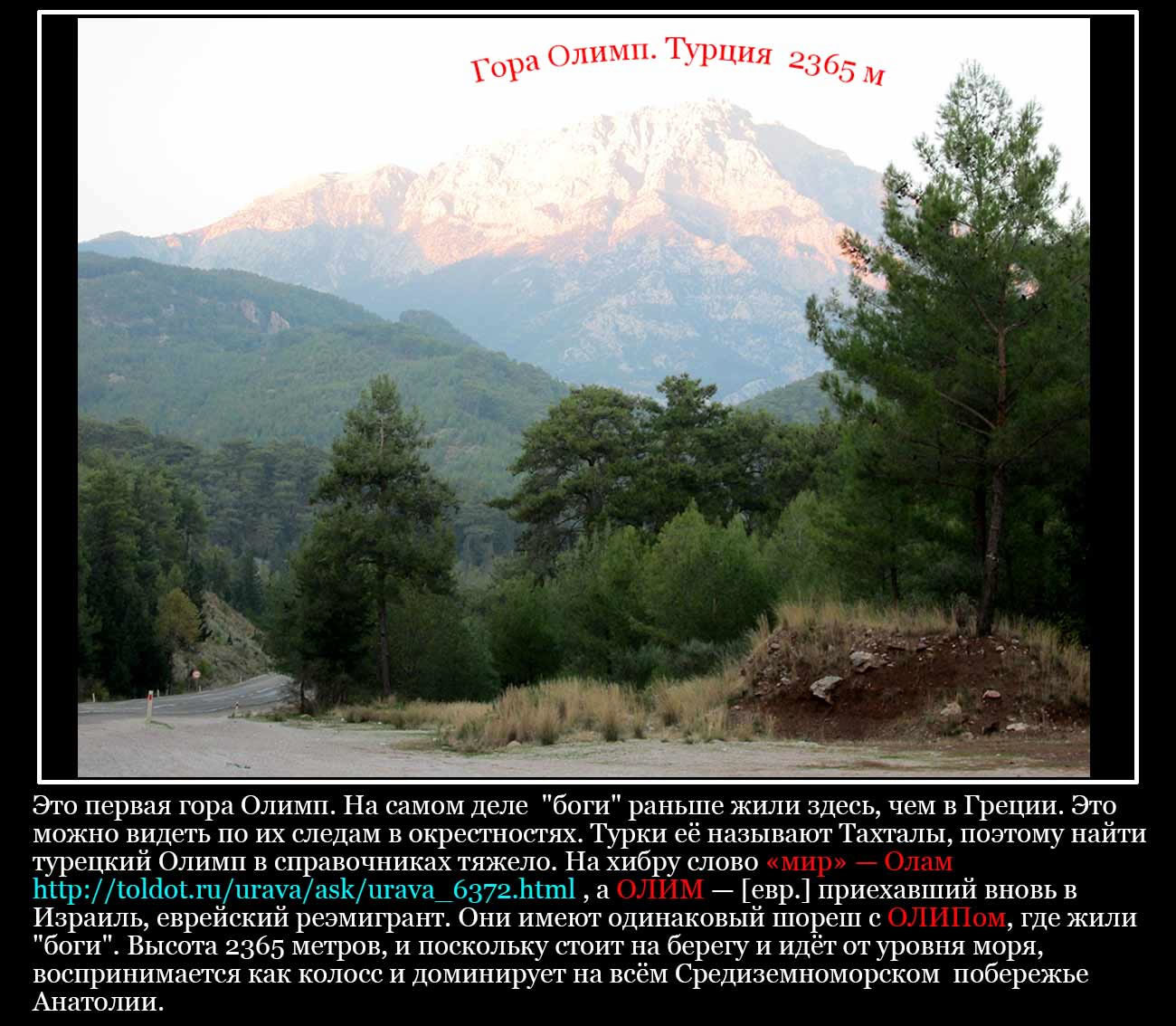 Что скрывают турецкие ? () Что скрывают турецкие ?