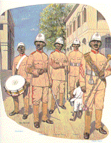 Датская колониальная империя в Старом и Новом свете и ее защитники