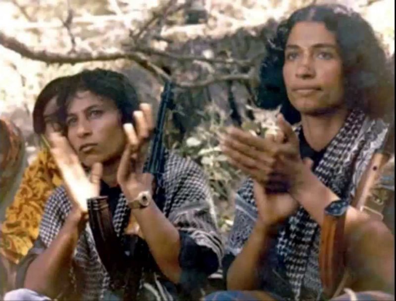 Дофарская война: красные на родине ладана