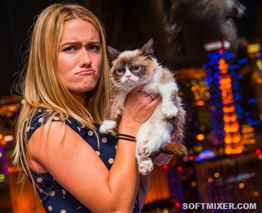 Grumpy Cat: секреты успеха самого богатого кота () Grumpy Cat: секреты успеха самого богатого кота